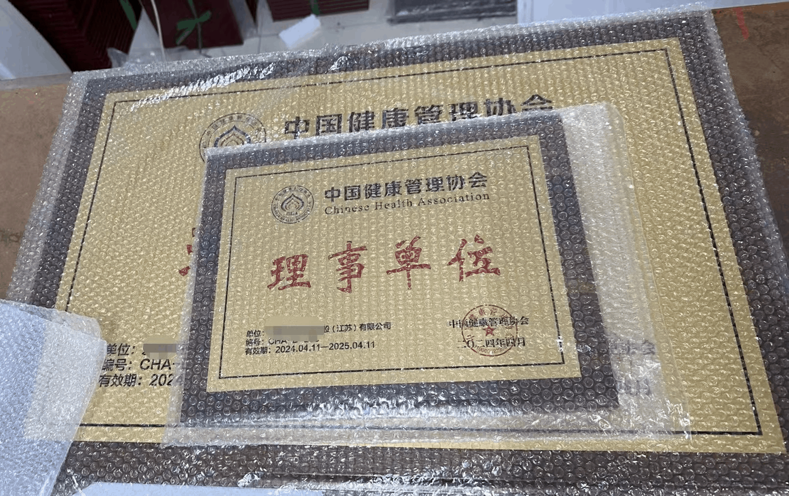 中国健康管理协会理事单位